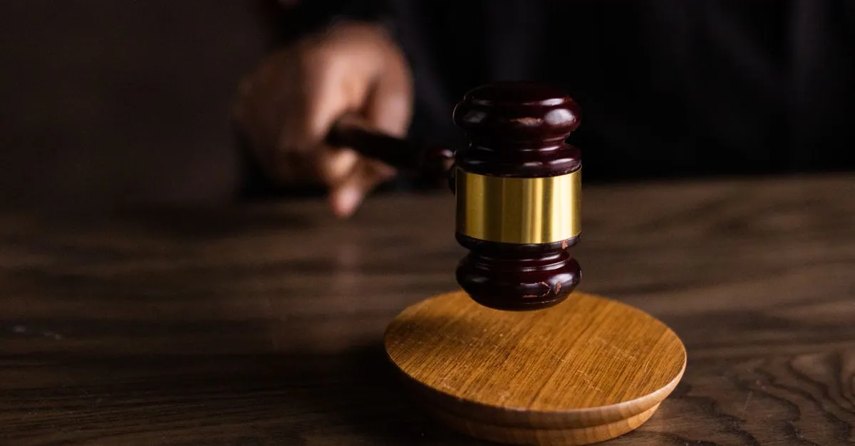 Appeals Court Removes Class Status From Tesla "Full Self-Driving" Advertising Lawsuit